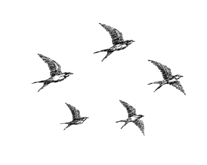 Voegel im Flug